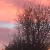 Lena Sharp257 - @tepigdo - TikTok