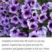 Lena Sharp - Facebook