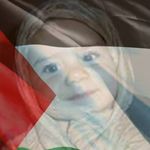 Alnader Mohamad - @lena.toth.33 - Instagram