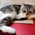 Lena Vogt - Facebook