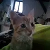L - @lenawill8 - TikTok