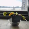 lenawilliam67 - @lenawilliam67 - TikTok
