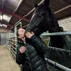 Lena.Wingen - @lena.wingen - TikTok