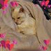 Lena Louise Naylor Winn - Facebook