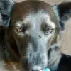 user7682653623852 - @lena.estefanski - TikTok
