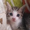 Leonard Bowen - @leonard.bowen - TikTok