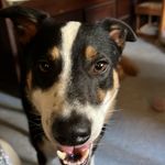 Lenard Graham - @lenardgraham99 - Instagram