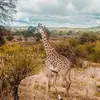 Lenard Greenberg - @lenardgreenberg7352 - TikTok