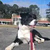 Lenard Greene - @lenard.greene - TikTok