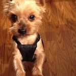 Glenda Johnson - @glenda.johnson.169 - Instagram