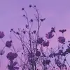 Lené Mitchell - @lenemitch - TikTok