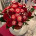 Lenette Mcdowell - Facebook