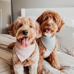 Leni & George - @leniandgeorge - Instagram