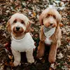 Leni & George - @leniandgeorge - TikTok