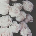 Leni George - @leni.george.au - Instagram