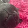 leni_i_george - @leni_i_george - TikTok