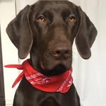 Leni Smith 🐾 - @leni_loo_ - Instagram