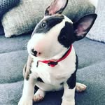 Leni Stern - @stern9158 - Instagram