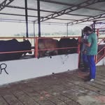 Lenin Josue Piña - @pinalenin - Instagram