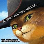 lenin serrano - @leninserrano - Instagram