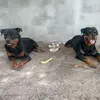 leniseandrade540 - @leniseandrade540 - TikTok