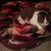 Lana Miller - Facebook