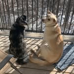 Lenny & Murphy - @lenny_n_murphy - Instagram