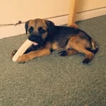 Lenny Murphy - @lennybtadventures - Instagram
