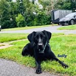 Lenny Murphy - @lennym4548gmailcom - Instagram