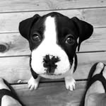 Lennon Baxter Imbordino - @loving.lenny.imbo - Instagram