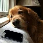 lennon becker - @lb_animal_lover - Instagram