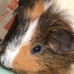 Lennon Fields - @someone_2007_ - Instagram