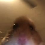 Lennon Larson - @soap_boi_54 - Instagram