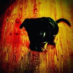 Lennon Murphy - @lennon.murphy - Instagram
