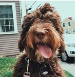 Lennon Murphy - @when.life.gives.you.lennon_ - Instagram