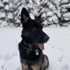 lennonmurphy12 - @lennon121988 - TikTok