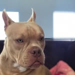 Lennon Pearson - @lennon.prsn - Instagram