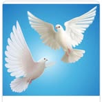 Lennon Ray - Facebook