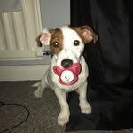 NuFc LeNnOn Xx - @lennonraynor - Instagram
