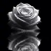 ℝ♪アール - @johnlennonsteinwa - TikTok