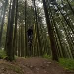 lennon webb - @lennonwebb_ - Instagram