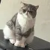 lennox_Leonardo - @lennox_leonardo - TikTok