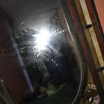 lennox - @lennox_roy - Instagram