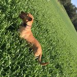 KING LENNY COHEN - @lennykingcohen - Instagram