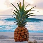 @lenny__king - Instagram