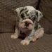 Lenny King - Facebook