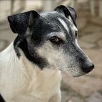 Lenny - @lenny_king_of_blind_alley - Instagram