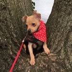 Lenny - @lenny.long.legs - Instagram