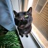 LennyLongLegs - @lennythelonglegs - TikTok