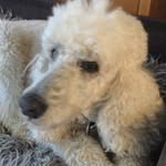 Glennys Manning - @glennysmanning - Instagram